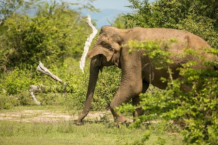 Explore Beyond the Ordinary