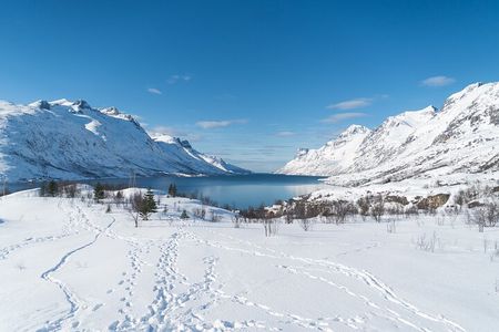 Arctic Fjords Road Trip