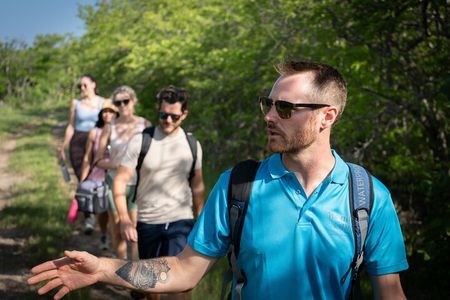 Mangrove & Coastal Wildlife Experience with a Cayman Naturalist
