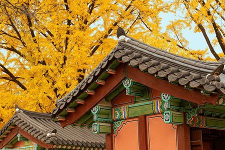 Seoul Private Layover Tour from the Airport with a Local