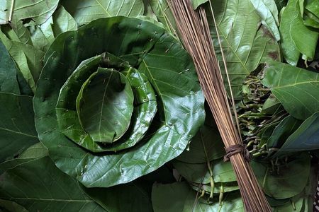 Traditional Leaf Plate Making Workshop in Kathmandu