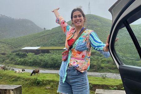 Kochi to Munnar Full Day Tour Eravikulam Tea Estate and Lunch