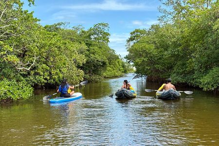 Fort Lauderdale Kayak and Paddleboard Mangroves Eco Adventure
