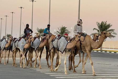 Private West Coast Tour: Richard Serra & Desert Wonders