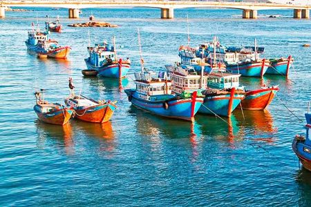 Cam Ranh Port: Shore Excursion Private Nha Trang City Tour