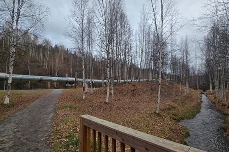 Heart of Fairbanks Tour Culture, Food, History and Fun