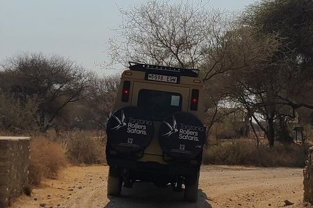 Day Trip Tarangire Safari