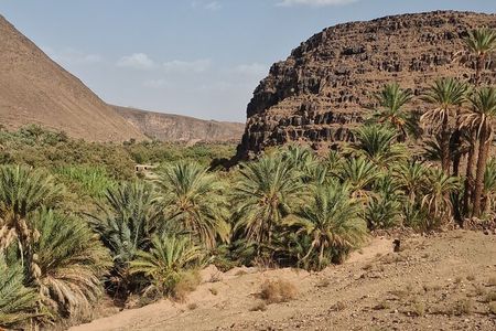 Nature Thrill Adventure Discover Draa Valley By Quad