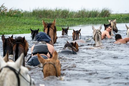 Iberá Wetlands on Horseback: An Unforgettable Gaucho Experience