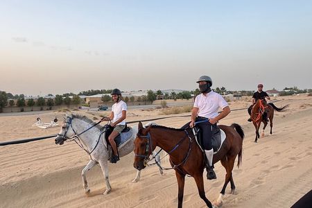 Desert and Beach Horse Ride Guided Adventure