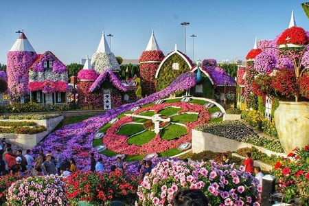 Dubai Miracle Garden Skip the Line E Ticket
