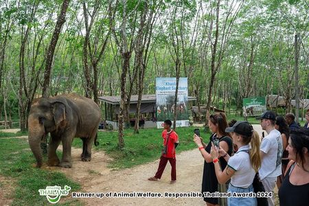 Guide Tour to Khaolak Elephant Sanctuary in Small Group