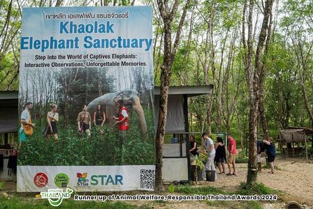 Evening Guide Tour to Khaolak Elephant Sanctuary Free 1 Cocktail