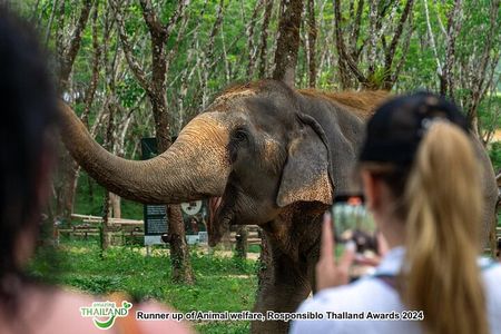 Khao Lak Elephant Sanctuary Tour with Waterfall and Lunch
