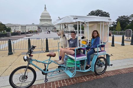 Private Tour to see the Monuments and Memorials in Washington DC