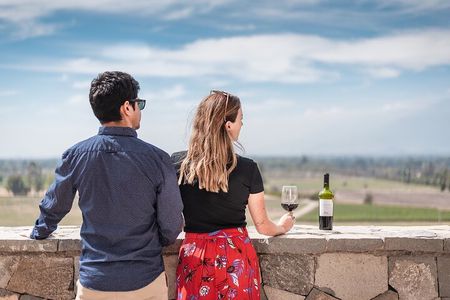 Haras de Pirque Private Vineyard Tour and Wine Tastings