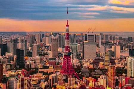 Private Custom Tokyo Tour with English Driver-guide