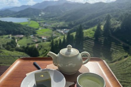Korean Green Tea Tour in Boseong & Gangjin (Private)