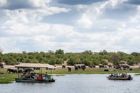 Chobe Day Trip