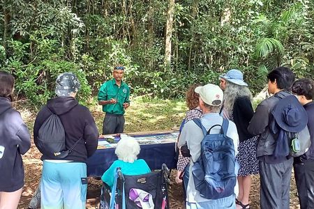 Atherton Tablelands: 2-Hour Private Aboriginal Culture Tour