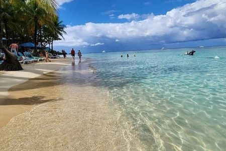 Monkeys, Sloths, Rum Factory & West Bay Beach Experience