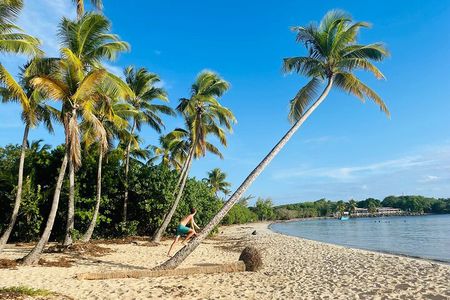 Tour to discover the paradisiacal beaches of the South (Salines)