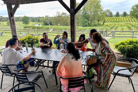 Luxe Day Trip: 3 VA Wineries & Optional Tasting-Inclusive Upgrade