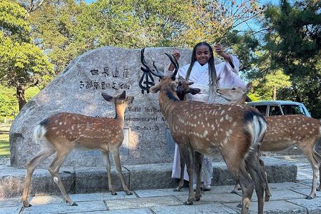 Osaka and Nara Private Car Tour with a Local English Guide Driver