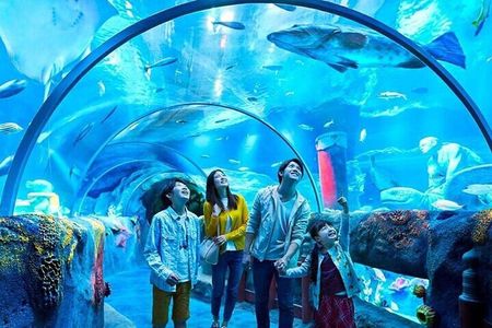 Istanbul Aquarium Admission with Hotel Transfers