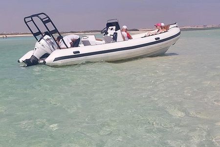 Hurghada Private 4-Hour Speedboat: Dolphins & White Island