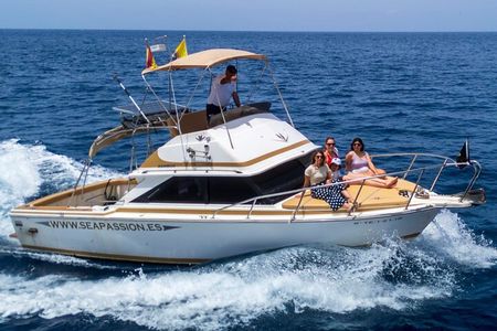 Whale and dolphin watching tour Los Gigantes and Masca in small groups