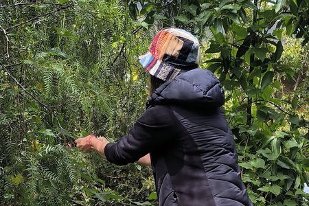 Andean Fabric Create your own masterpiece