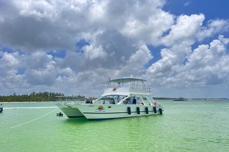 Catamaran Tour of Punta Cana with Snorkeling and Open Bar