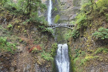 Portland + Columbia Gorge Waterfalls: The Best of Both Worlds! 