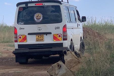 Half Day Guided Tour in Nairobi National Park with 4x4 Vehicle