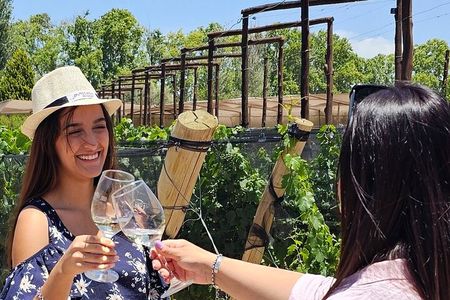 Tour wineries Lujan de Cuyo