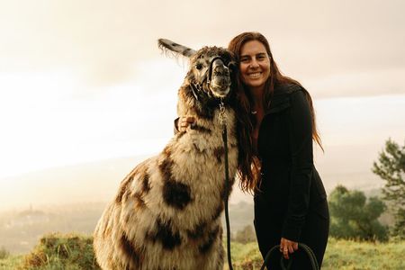 Llama Sunset Hike