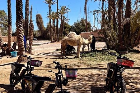 EBike Adventure and Sunset in Marrakech Palmeraie