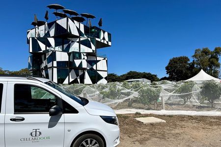 McLaren Vale Private Tour inc Premium Lunch & d'Arenberg Cube