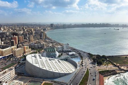 Alexandria Day Tour from Alexandria Port or Hotels