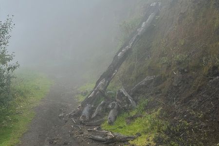 Unique Hiking around an active Turrialba Volcano /Selfdrive tour