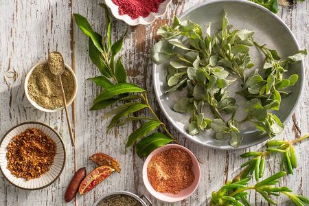 Sydney Fish Market: Australia's Native Flavours Cooking Class