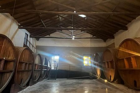 Flavors of Mendocinos