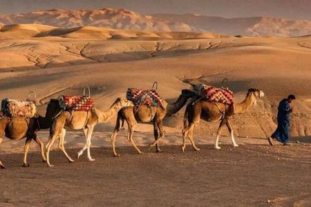 Agafay Desert Adventure Quad Camel Ride and Magical Evening
