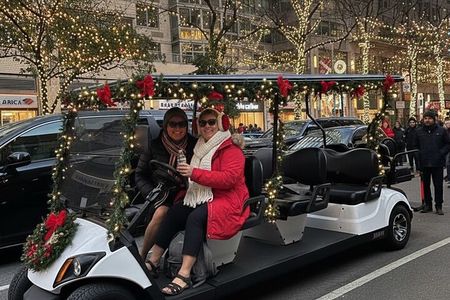 NYC: Landmarks &Movie Spots Guided City Tour by Golf Cart