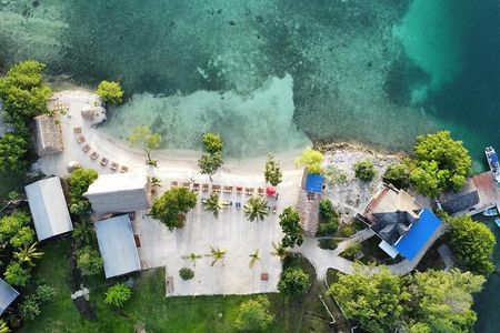 KidFriendly Monkey Sloth Iguana Farm BeachBreak chocolate sample