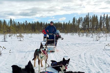 Rovaniemi Husky Safari - Self Drive Adventure + BBQ