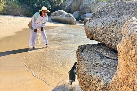 Half Day Adventure Penguin Encounter at Boulders Beach