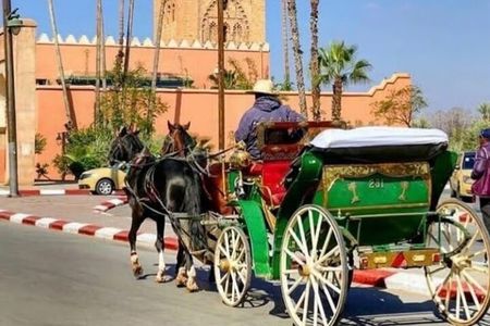 Marrakech! 1 hour traditional horse - drawn carriage tour