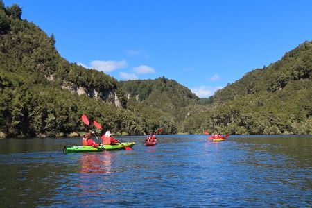 Hidden Lake Kayak Tour in Taupō’s Secret Gem